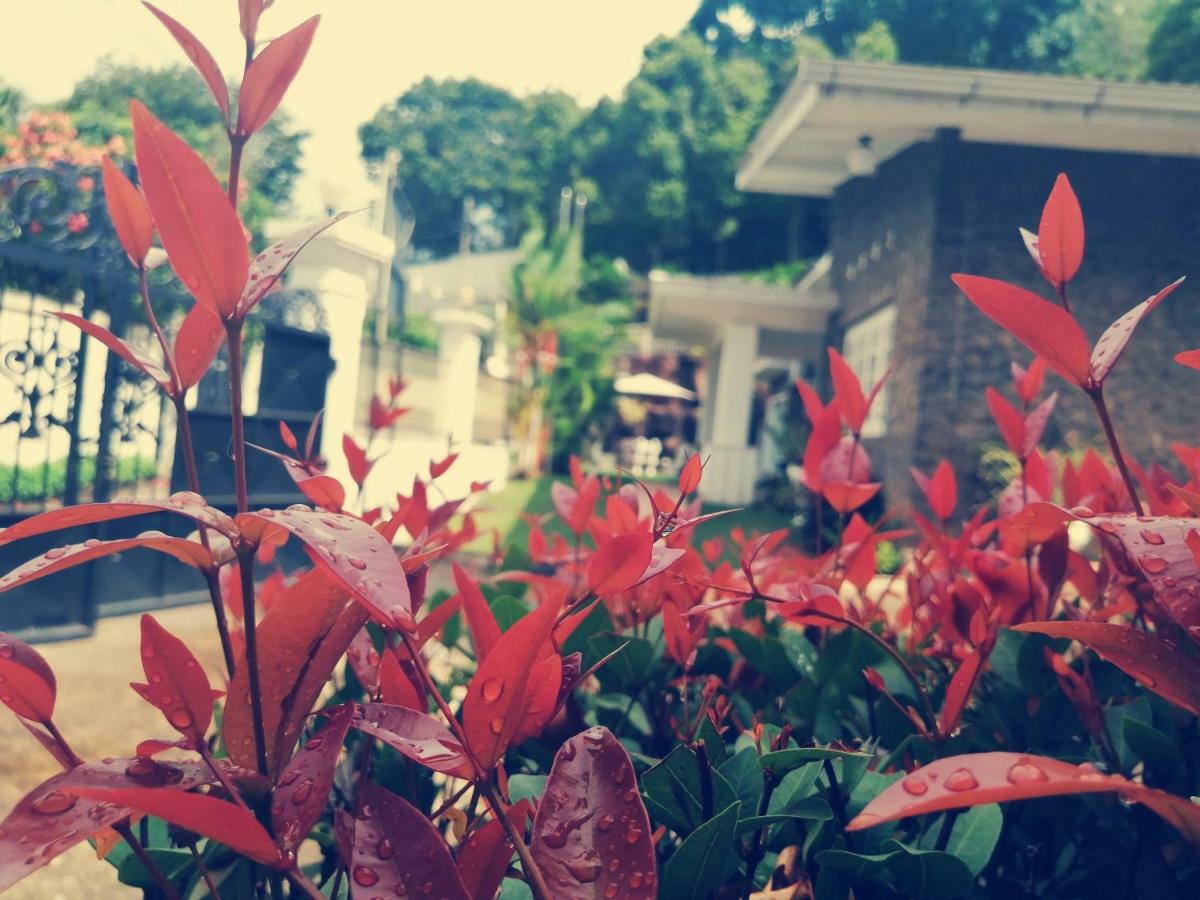 Anna Shanthi Villa Kandy Buitenkant foto
