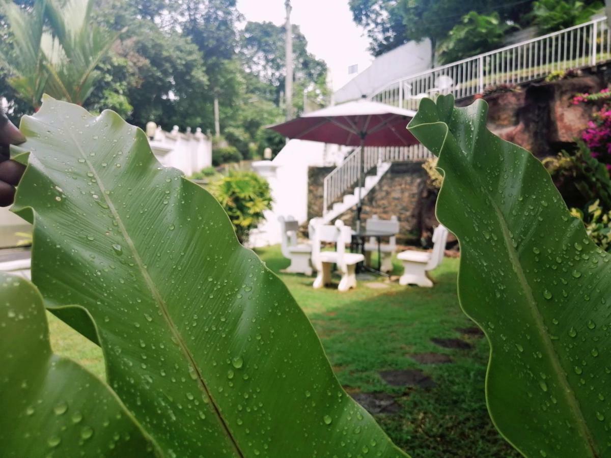 Anna Shanthi Villa Kandy Buitenkant foto