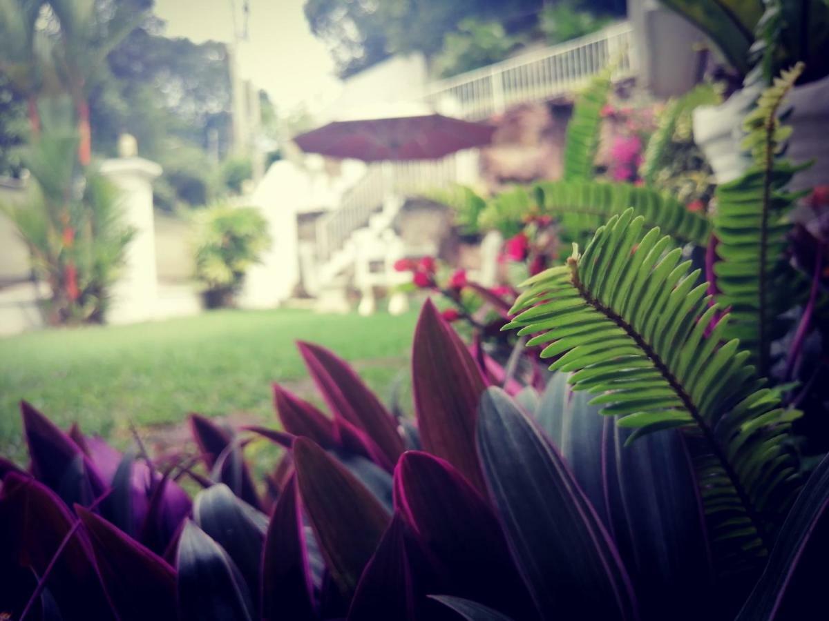 Anna Shanthi Villa Kandy Buitenkant foto