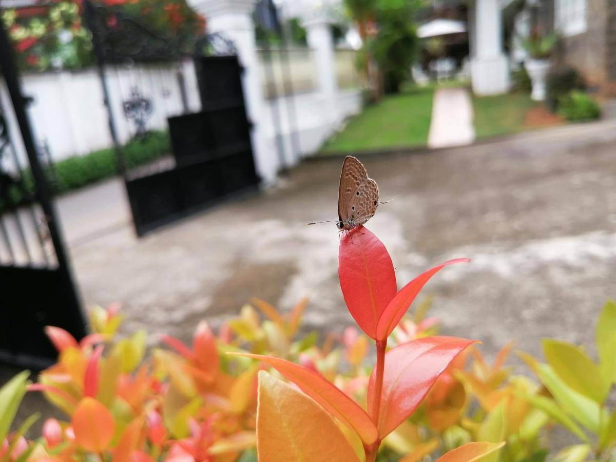 Anna Shanthi Villa Kandy Buitenkant foto