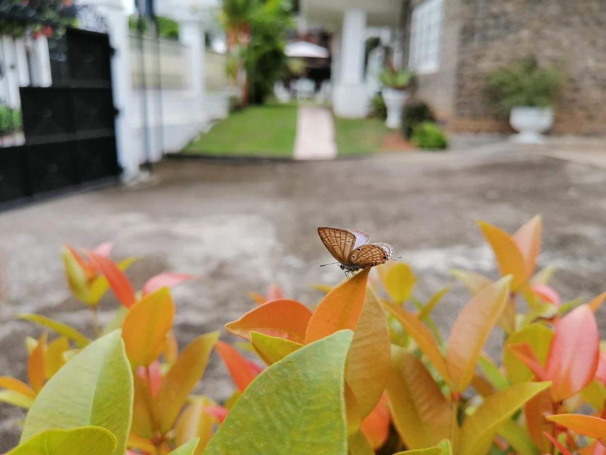 Anna Shanthi Villa Kandy Buitenkant foto