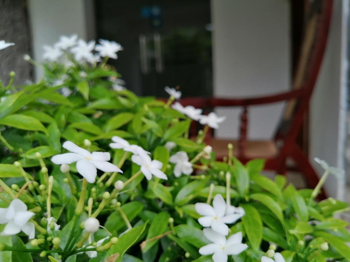 Anna Shanthi Villa Kandy Buitenkant foto