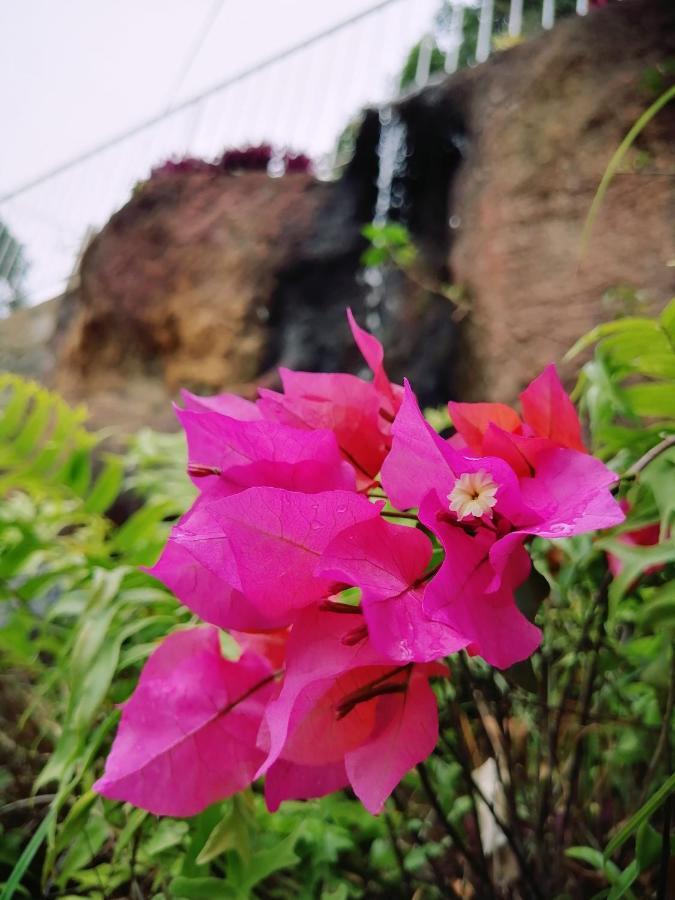 Anna Shanthi Villa Kandy Buitenkant foto